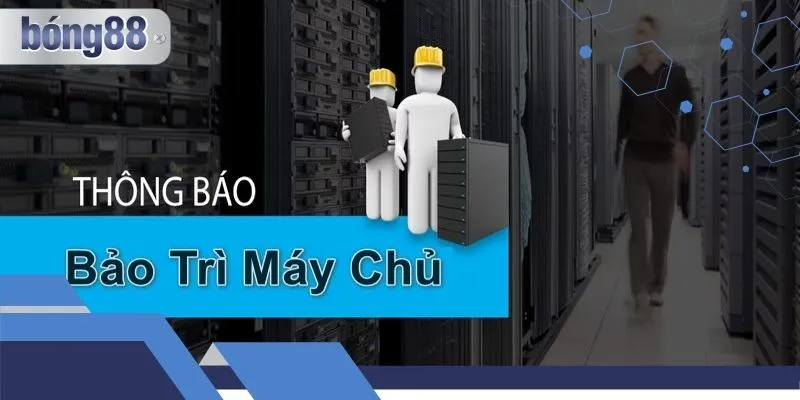 Hướng Dẫn Chơi Bong88 - Tìm Hiểu Quá Trình Bảo Trì Hệ Thống